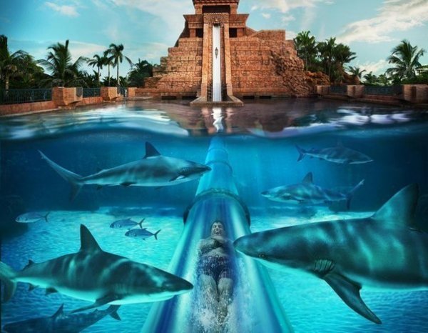 ��������� ������ ���� Aquaventure �� ������� (4 ���� + 1 �����)