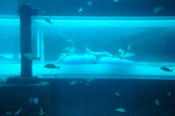 ��������� ������ ���� Aquaventure �� ������� (4 ���� + 1 �����)