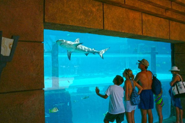 ��������� ������ ���� Aquaventure �� ������� (4 ���� + 1 �����)