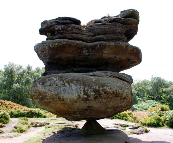 Idol Rock � ������������� �������� ����������� � ������ (7 ����)