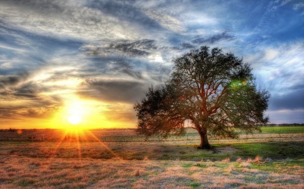 �������������� HDR-������ (26 ��)