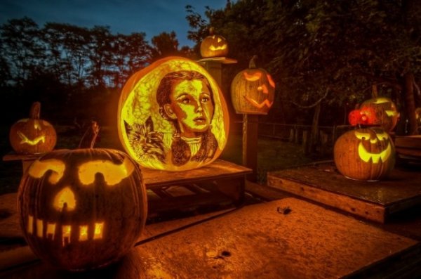 �������� ����-������� "Passion for Pumpkins" (12 ����)