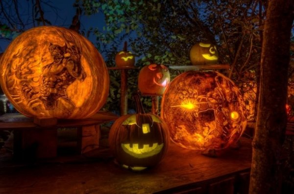 �������� ����-������� "Passion for Pumpkins" (12 ����)