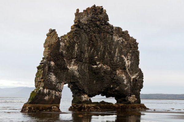 ��������� ����� Hvitserkur (18 ����)