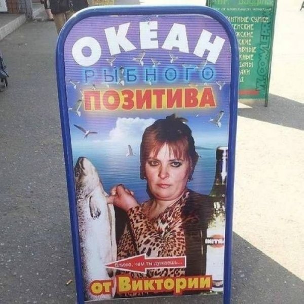 ����� ������� ������� � ������� ������� 2013 (31 ����)