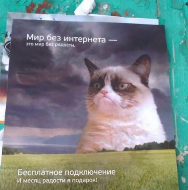 ����� ������� ������� � ������� ������� 2013 (31 ����)