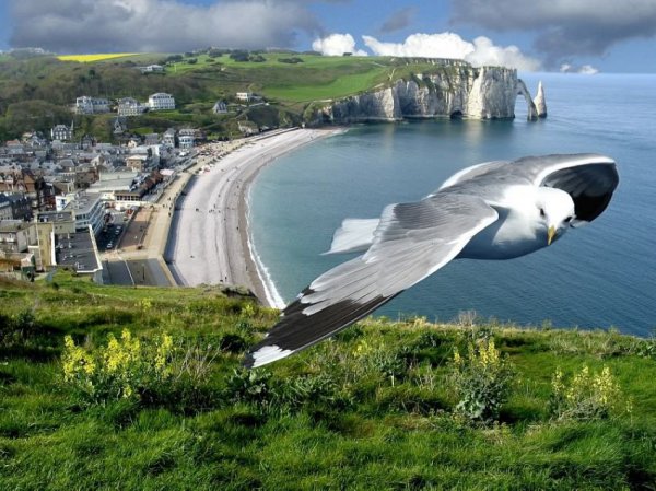����� ����������� ������ ���� ����� ���������� (7 ����)