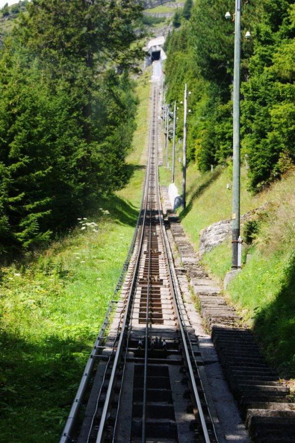 �������� Niesenbahn � ����� ������� �������� � ���� (14 ����)