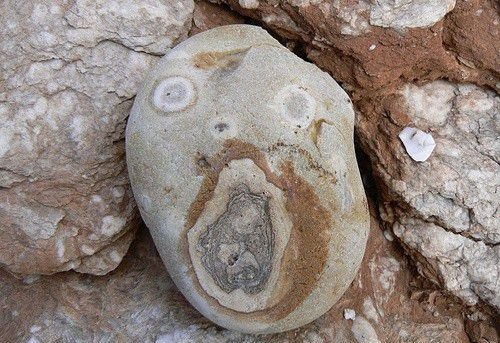 Забавные рожицы вокруг нас (17 фото) Забавные рожицы вокруг нас (17 фото)