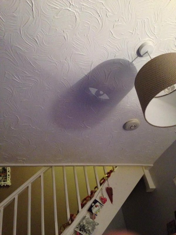 �������� ������ ������ ��� (17 ����)