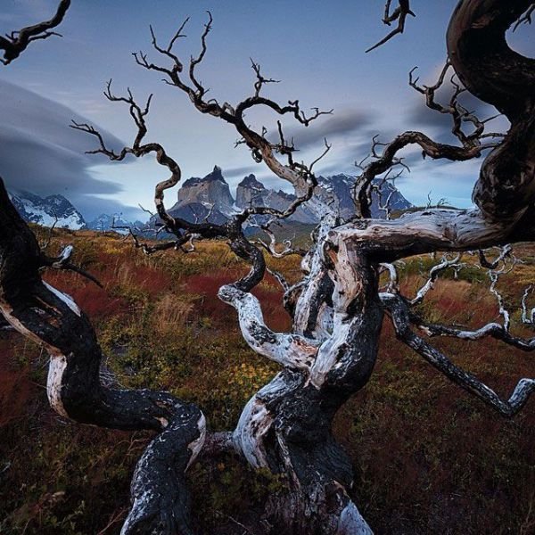 Изумительные фотографии National Geographic в Instagram (32 фото) Изумительные фотографии National Geographic в Instagram (32 фото)