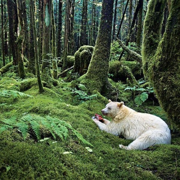 Изумительные фотографии National Geographic в Instagram (32 фото) Изумительные фотографии National Geographic в Instagram (32 фото)