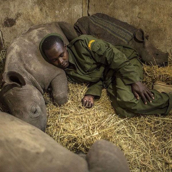Изумительные фотографии National Geographic в Instagram (32 фото) Изумительные фотографии National Geographic в Instagram (32 фото)