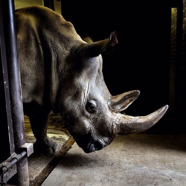 Изумительные фотографии National Geographic в Instagram (32 фото) Изумительные фотографии National Geographic в Instagram (32 фото)