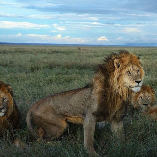 Изумительные фотографии National Geographic в Instagram (32 фото) Изумительные фотографии National Geographic в Instagram (32 фото)