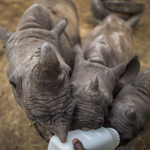 Изумительные фотографии National Geographic в Instagram (32 фото) Изумительные фотографии National Geographic в Instagram (32 фото)