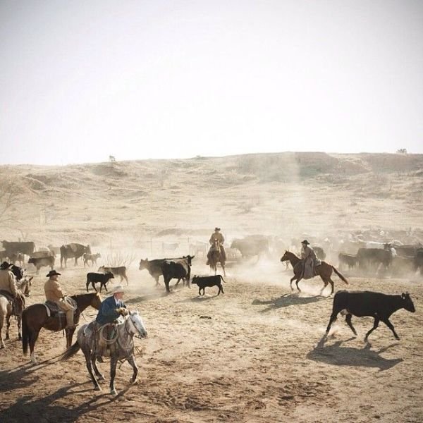 Изумительные фотографии National Geographic в Instagram (32 фото) Изумительные фотографии National Geographic в Instagram (32 фото)