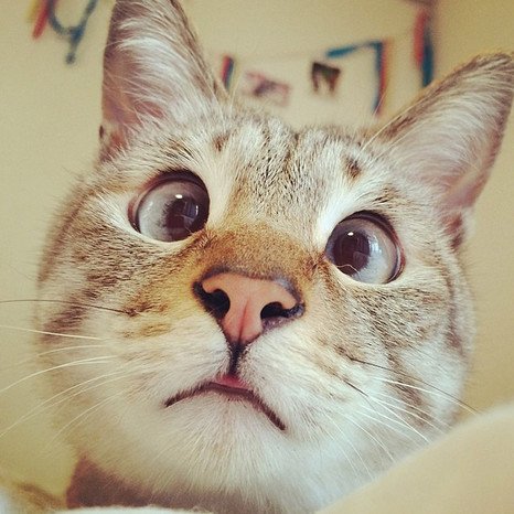 ����� ���������� �������� � Instagram (10 ����)