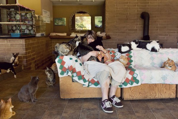The Cat House on the Kings  - ����� ������� � ���� ����� ��� ����� (22 ����)