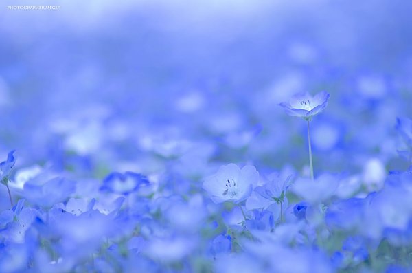 ������� ��������� ����� � �������� ����� ������ (9 ����)