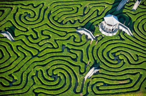 ������ �������� Longleat Hedge Maze � ������ (8 ����)