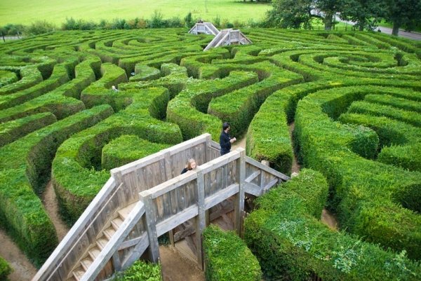 ������ �������� Longleat Hedge Maze � ������ (8 ����)