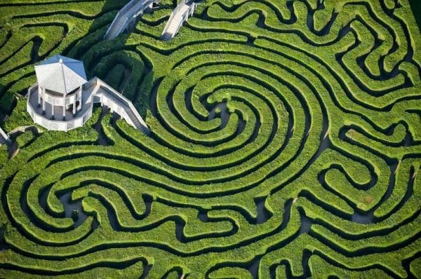 ������ �������� Longleat Hedge Maze � ������ (8 ����)