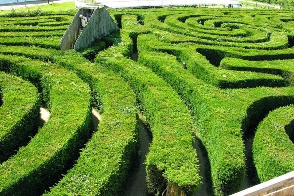 ������ �������� Longleat Hedge Maze � ������ (8 ����)