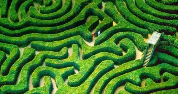 ������ �������� Longleat Hedge Maze � ������ (8 ����)