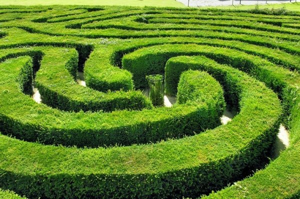 ������ �������� Longleat Hedge Maze � ������ (8 ����)