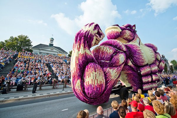 � ����������� ������ ����� ������ Corso Zundert 2014 (27 ����)