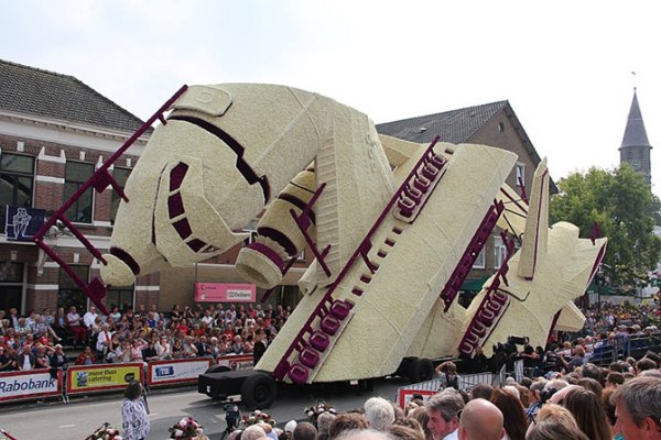 � ����������� ������ ����� ������ Corso Zundert 2014 (27 ����)