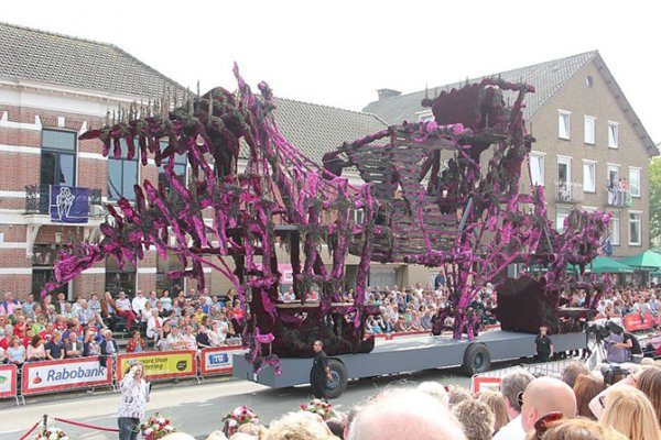 � ����������� ������ ����� ������ Corso Zundert 2014 (27 ����)