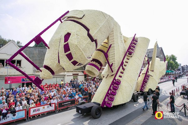 � ����������� ������ ����� ������ Corso Zundert 2014 (27 ����)