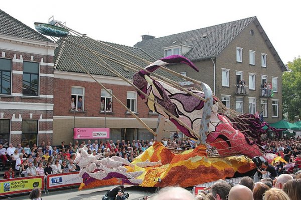 � ����������� ������ ����� ������ Corso Zundert 2014 (27 ����)
