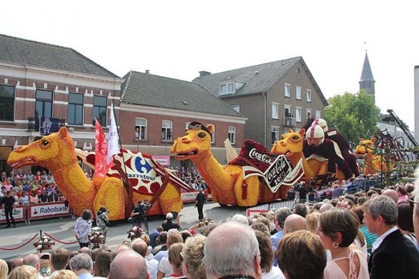 � ����������� ������ ����� ������ Corso Zundert 2014 (27 ����)