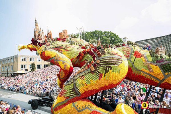 � ����������� ������ ����� ������ Corso Zundert 2014 (27 ����)