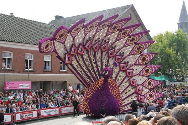 � ����������� ������ ����� ������ Corso Zundert 2014 (27 ����)