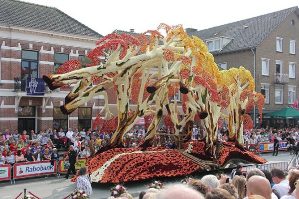 � ����������� ������ ����� ������ Corso Zundert 2014 (27 ����)
