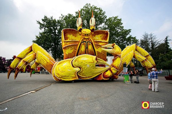 � ����������� ������ ����� ������ Corso Zundert 2014 (27 ����)