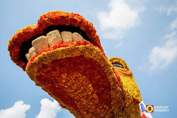 � ����������� ������ ����� ������ Corso Zundert 2014 (27 ����)