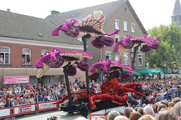 � ����������� ������ ����� ������ Corso Zundert 2014 (27 ����)