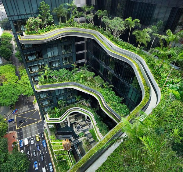 ������ ����� ParkRoyal � ��������� (26 ����)