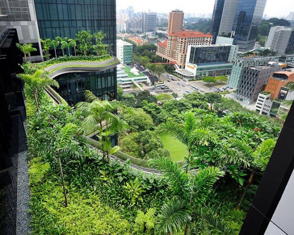 ������ ����� ParkRoyal � ��������� (26 ����)