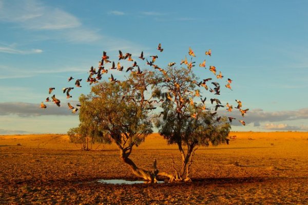 ������� ���������� 2014 ���� �� National Geographic (23 ����)