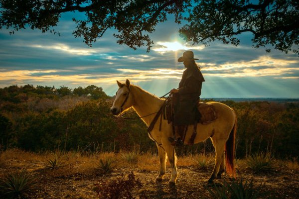 ������� ���������� 2014 ���� �� National Geographic (23 ����)
