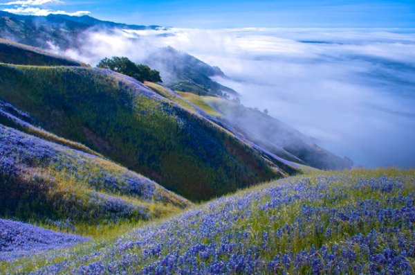������� ���������� 2014 ���� �� National Geographic (23 ����)