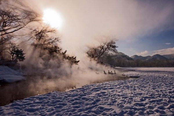 ������� ���������� 2014 ���� �� National Geographic (23 ����)