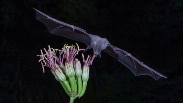 ������� ���������� 2014 ���� �� National Geographic (23 ����)