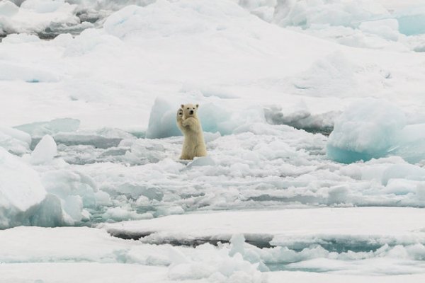 ������� ���������� 2014 ���� �� National Geographic (23 ����)